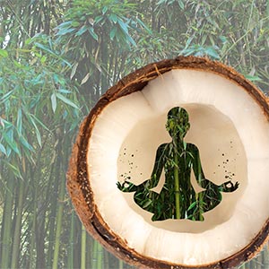 A coconut with yoga silhouette and bamboo forest