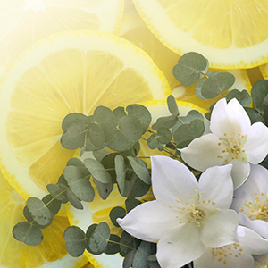 Lemon, eucalyptus, and Verbena flowers